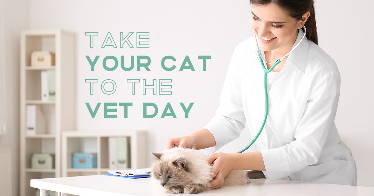 Taking your Cat to the Vet