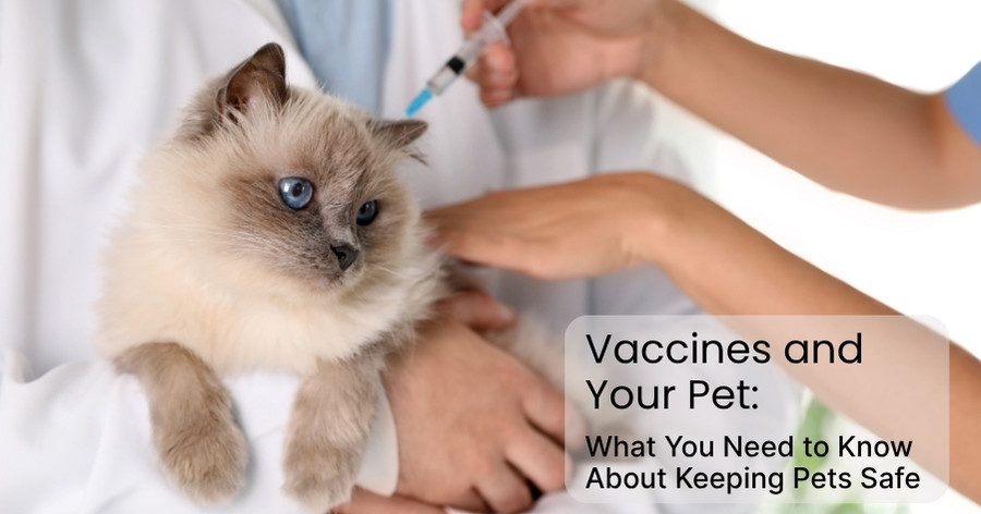 Vaccines & Your Pet: What You Need to Know Keeping Pets Safe