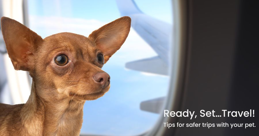 Ready, Set… Travel!