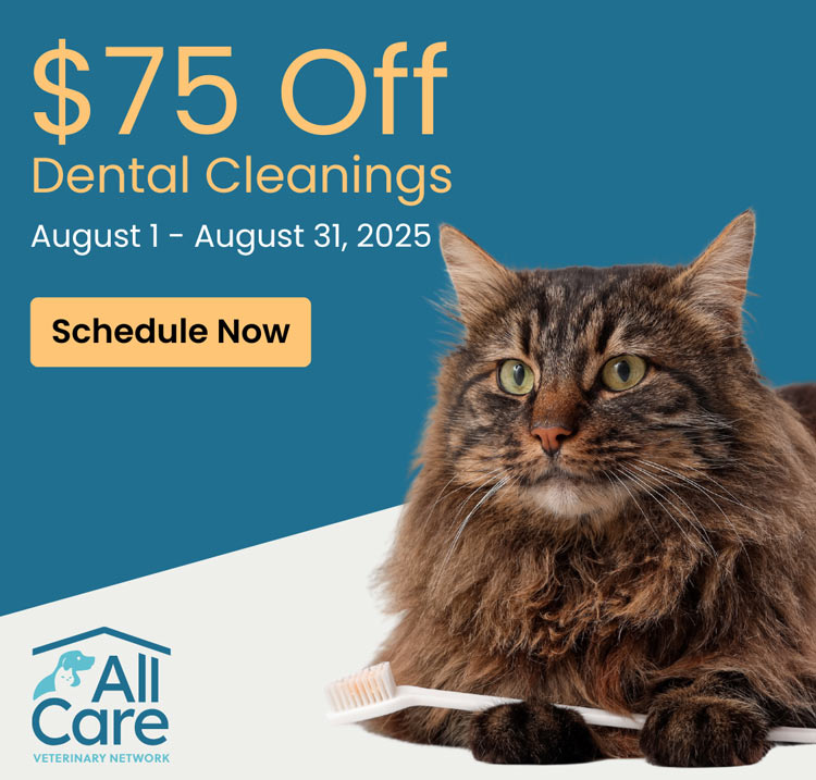 Dental Cleanings - save $75
