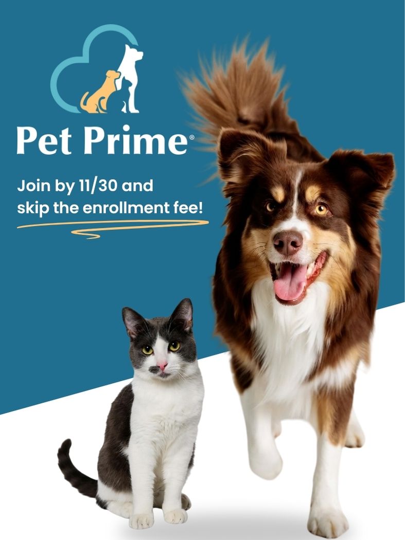 Pet Prime Promotion - join by 11/30/25