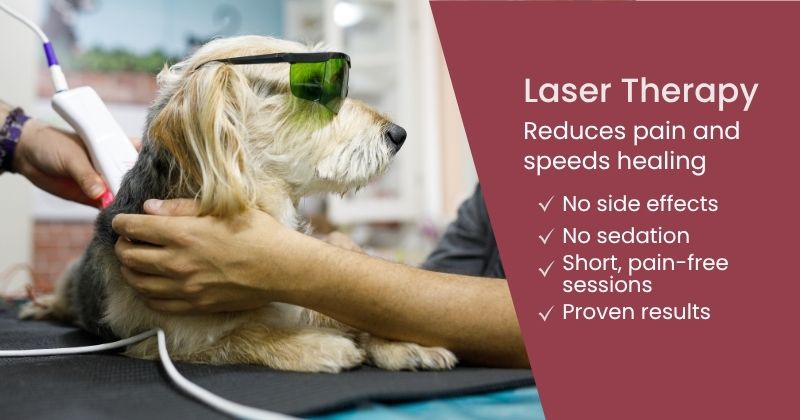 NEW! Laser Therapy